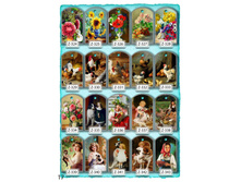 ���� № 17.jpg