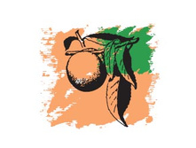 137 ���  ���������� �������� �����