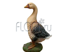 ������ ������� ������ ��������, 29�19�46��. 913,03 ���.jpg