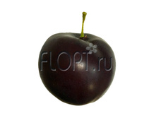 ���. ����� ����� 31500. 7 ��. 152,49 ���.jpg