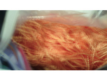 IMG 20160423 161014.jpg