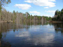 IMG 7587.jpg