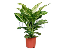 ����������� ���� 17�65. 476,28 ���.jpg