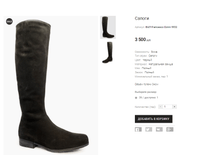 ��� Francesco Donni 9932.png