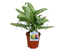 ��������� ����� �������� 13�35. 534,45 ���.jpg