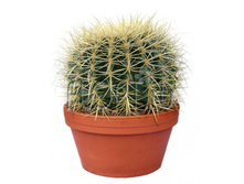 ����������� ������� 20�22. 1538,46 ���.jpg