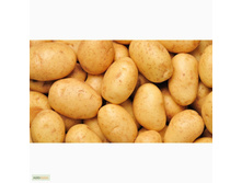 ��������� ������� 40���. �� 1�� (���������� �� 3 ��, �� ����� � �� 1��).jpg