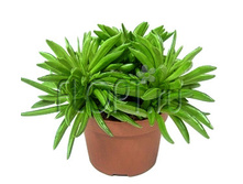 ��������� ����� ��� 12�18. 169,05 ���.jpg