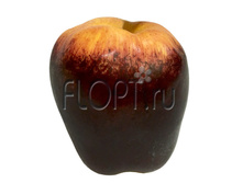 ���. ����� ������, ������� 1879.8. 9 ��. 140,03 ���.jpg