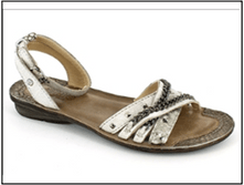 ���� 45,78 ����.