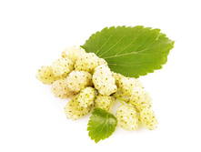 �������� (���������)