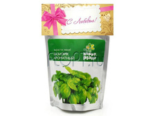 ����� ��� ����������� �������. 124,74 ���.jpg