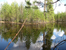 IMG 7628.jpg