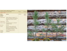 ������� ����� ����������- ��������, ������������ ������� ���� � 3800���, ���� ����� 5000���.jpg