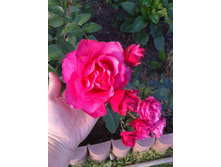 2015-08-15 17.03.55.jpg