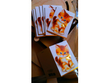 10��. 5�/��