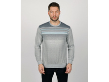 TLN 424  ���� 850 ���.