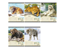 ������� 24�. ����� ������� ������� 10,53.jpg