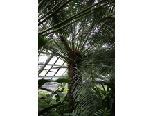 ������������ ��������.jpg