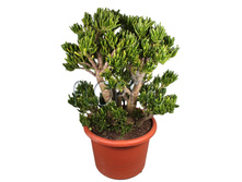 �������� ������ 28�75. 3446,34 ���.jpg