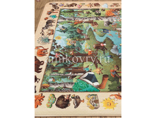 ����� House of Kids Foret Discoverte.png