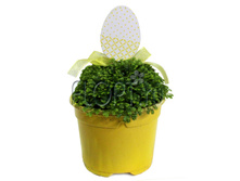 ����������� ����� � ����� 9�15. 94,4 ���.jpg