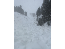 ����� ����� ������