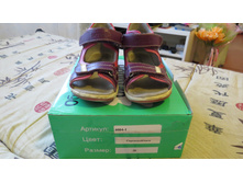 ������� 29 �-�