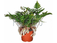 ������� ��������� 12�35. 337,05 ���.jpg