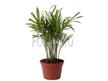 ��������� ������� 9�30. 97,65 ���.jpg