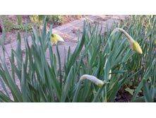 IMG 20160428 183243.jpg