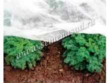 �������� ���-17.jpg