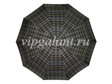 ������� ���� Dolphin 260 (2).jpg