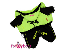 Zimniy kombinezon dlya malenkih sobak 158 .png