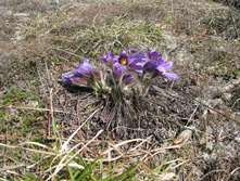 IMG 7571.jpg