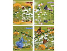 ������� 48�. �5 ������ Spring Time 16,26.jpg