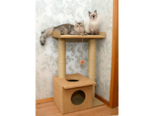 �� 2025� 100�� �������� "������� � �����"