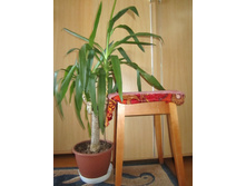 ���� 002.jpg