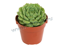 �������� ����� 11�15. 222,01 ���.jpg