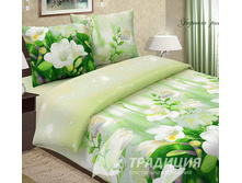 ������ �������� ����