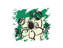 254 ���. ����� ������� ����� 15��