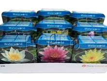 ������ ���� 19�10. 383,97 ���.jpg