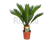 ����� �������� 14�60. 831,4 ���.jpg