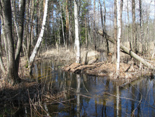 IMG 7556.jpg