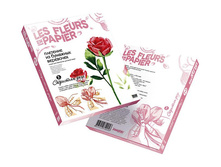 Josephine �������� �� �������� ���������.jpg