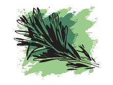 137 ���. ������� ����� ��������