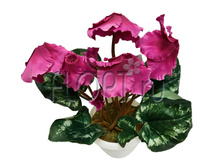 ���.����. �������� ��������, � ������ �1800. 27 ��. 598,4 ���.jpg