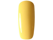 37 Sunny Florida 11 ml.jpg