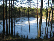 IMG 7609.jpg