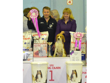 DSC 033700����.jpg